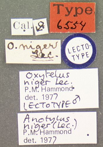 Media type: image;   Entomology 6554 Aspect: labels